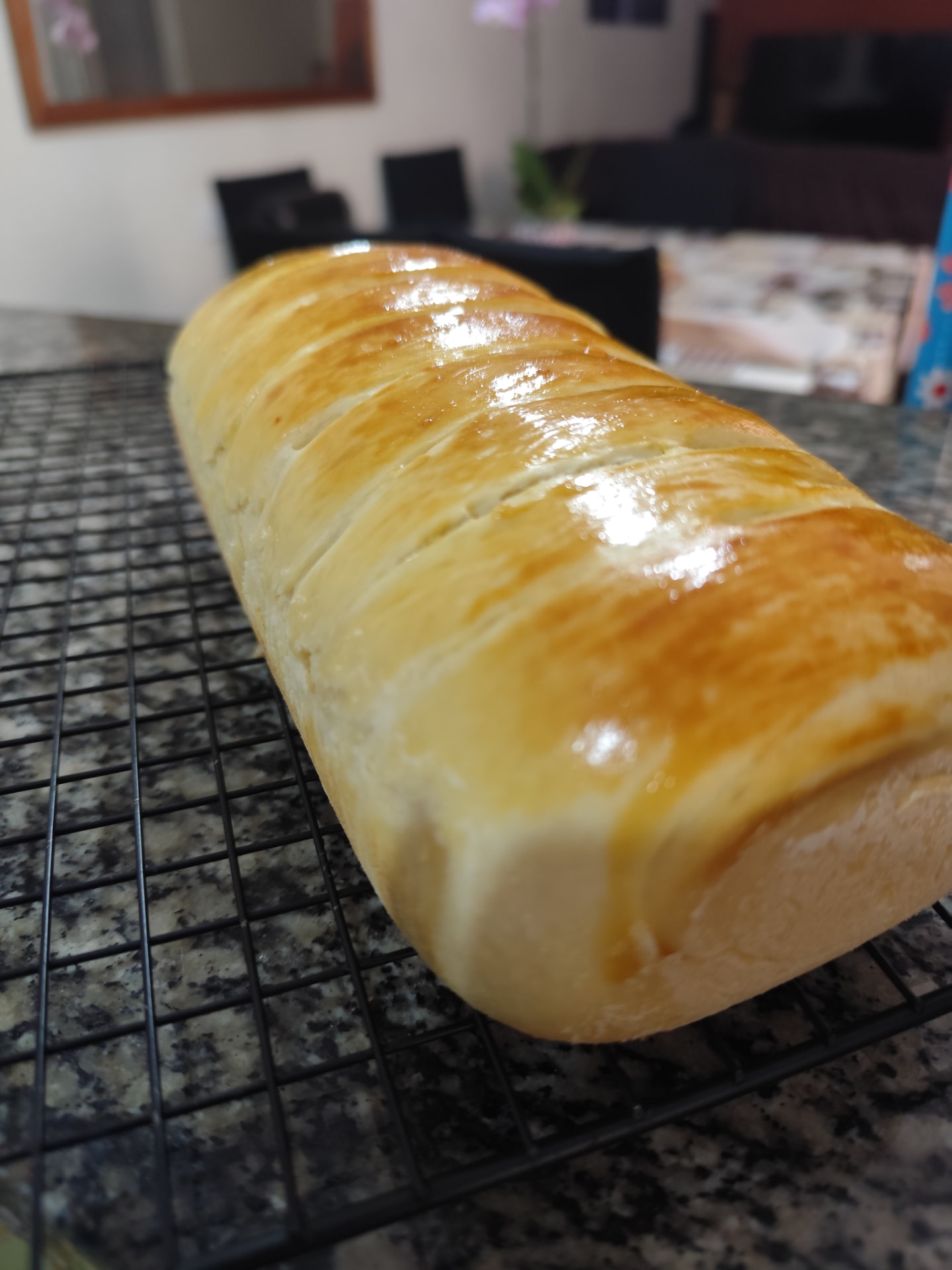 Miolo de Mussarela e Presunto inteiro com crosta dourada e brilhante